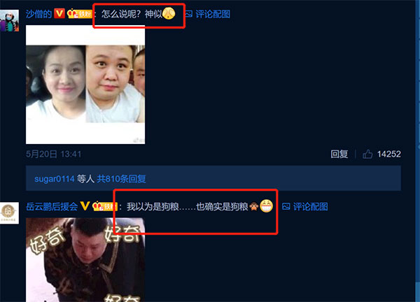 特意将孙越与郑敏的照片放在了一起