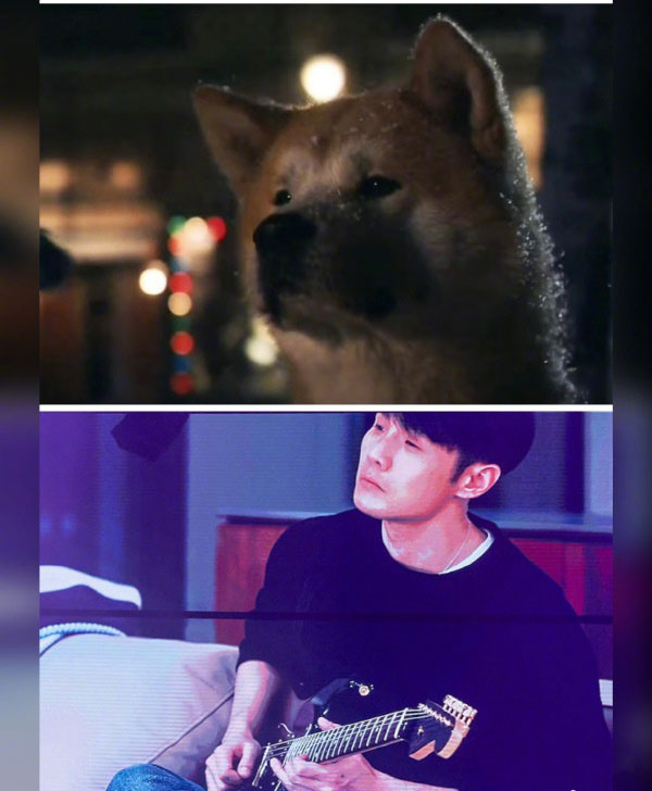 杨丞琳晒出老公李荣浩与柴犬的对比图
