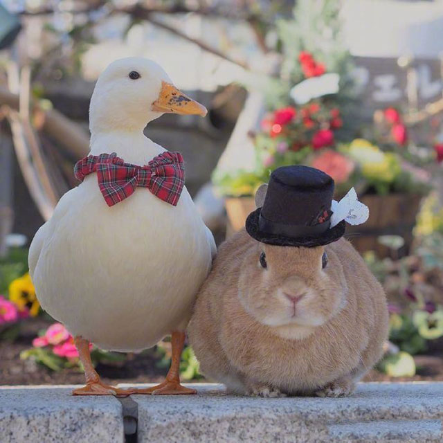 我为你好是一种自私吗？