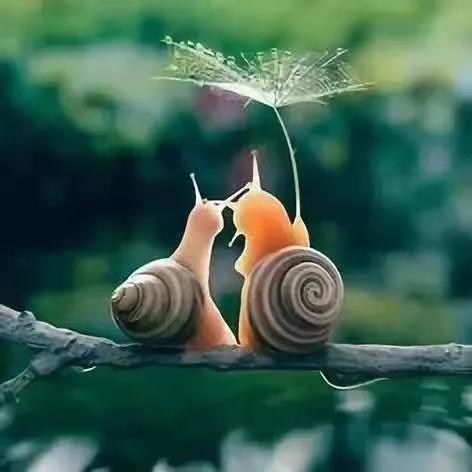 能回应废话，在亲密关系里可能比你想象中更重要