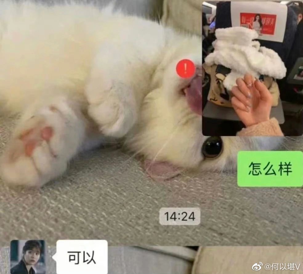 与男朋友无效沟通的破防瞬间