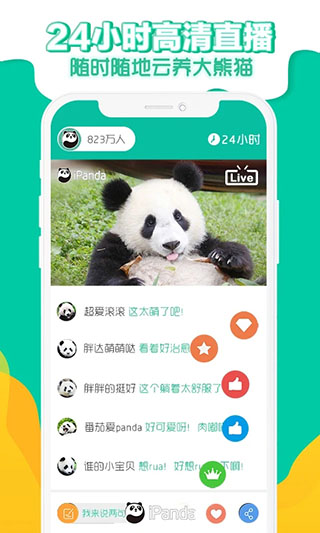ipanda熊猫频道