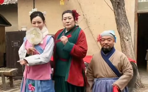 靠帮助年轻人公开相亲，“开封王婆”火了